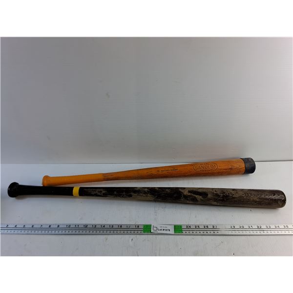 Plastic and 34" Wooden Bats -