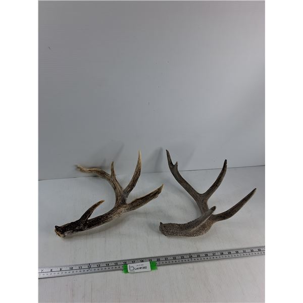 (2) Deer Sheds