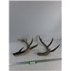 Image 1 : (2) Deer Sheds