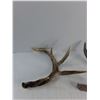 Image 2 : (2) Deer Sheds