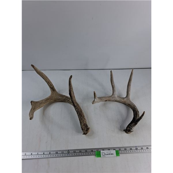 (2) Deer Sheds