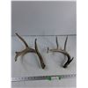Image 1 : (2) Deer Sheds