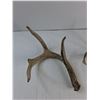 Image 2 : (2) Deer Sheds