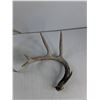 Image 4 : (2) Deer Sheds