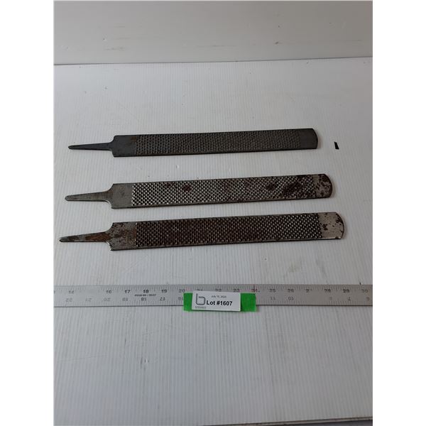 (3) Farrier Rasps- 17" x .5"
