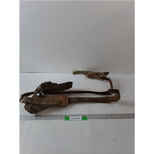 Lineman Power Pole Climbing Spikes