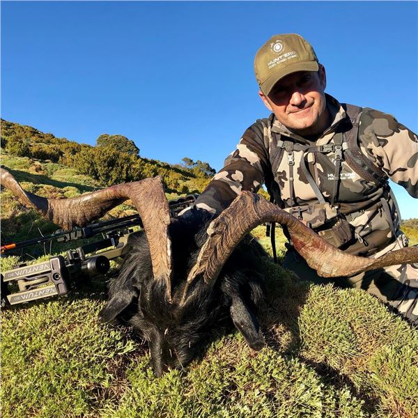 Feral Goat Hunt in the Pyrenees
