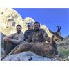 Image 2 : Pyrenian Chamois Hunt by Wild Hunting Spain