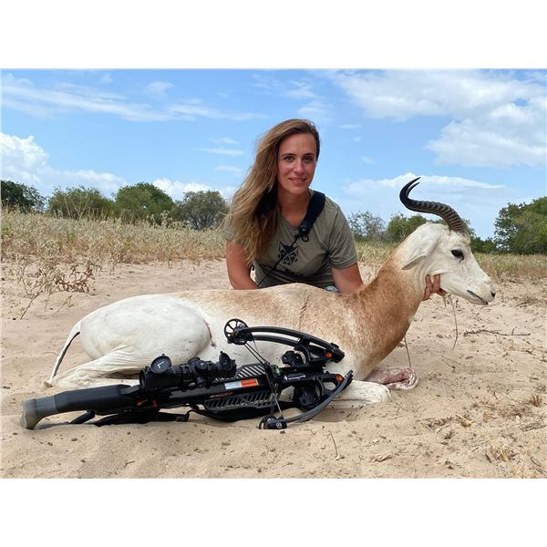 Trophy Dama Gazelle Hunt in the Texas Hill Country 2-Day Guided Hunt + Taxidermy Package | Valued at