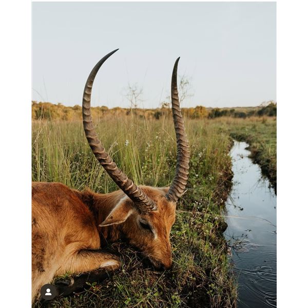 Zambia Safari with Mumembe Safaris