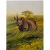 Image 1 : Nicholas Coleman - Dusk: Black Rhino Oil on Linen