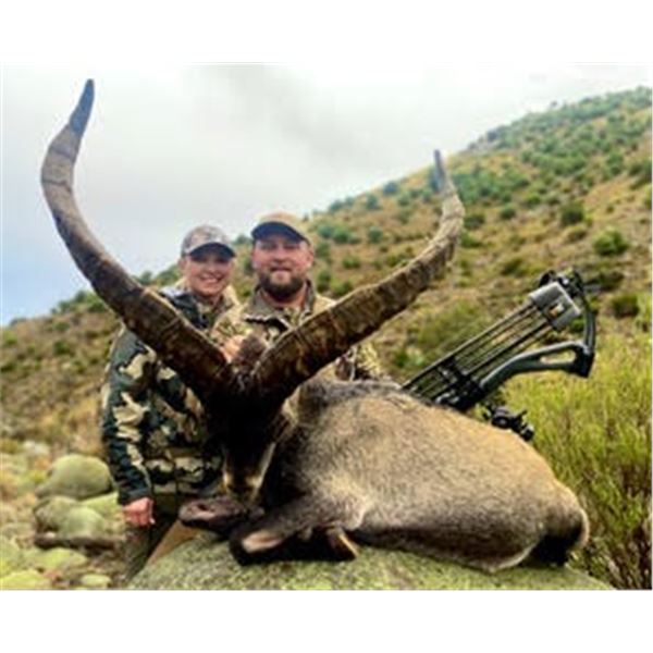 10 Day Big Game Hunt with Espacaza Spain