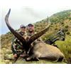 Image 1 : 10 Day Big Game Hunt with Espacaza Spain