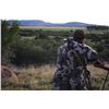 Image 3 : 7-Day All-Inclusive African Hunt with Braeside Safaris