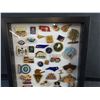 Image 2 : Various Shirt Pins in a Display Case