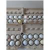Image 5 : 4 Carton Of Golf Balls (48)