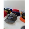 Image 6 : Variety Of Hats- (10)