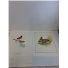 Image 4 : (10) M.G. Loates "Wild Animals" Prints - 18x23", (2) Cederberg "RCMP" Prints - 14x11", File Folder