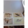 Image 5 : (10) M.G. Loates "Wild Animals" Prints - 18x23", (2) Cederberg "RCMP" Prints - 14x11", File Folder