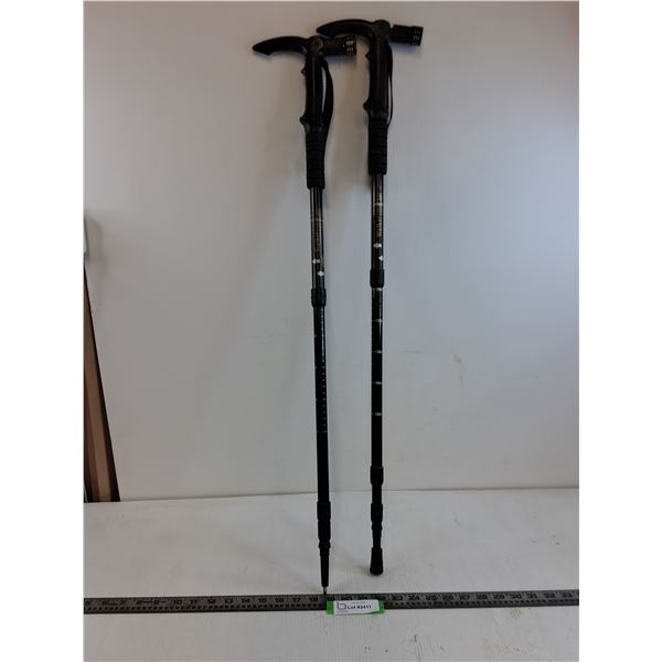 Pair of Adjustable Aluminum Walking Sticks - Equipped with LED Lights - Untested  -  PICK UP