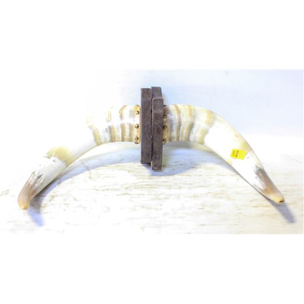 PAIR OF WOOD BASE MOUNTED BULL HORNS