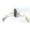 Image 1 : PAIR OF WOOD BASE MOUNTED BULL HORNS