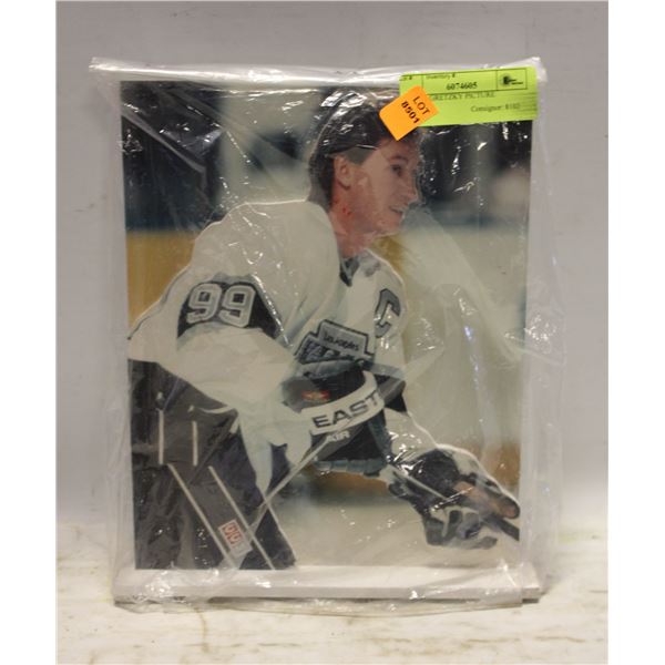 WAYNE GRETZKY PICTURE