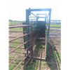 Image 8 : Complete Squeeze Chute Alley, Tub System: NorthStar Q-Catch Head Gate Squeeze Chute with Palp Cage, 