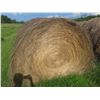 Image 2 : 123 Bales of Hay 2024 Crop, Tame Grasses Timothy. **Neighbor Will Load for $2 a Bale , Must Be 