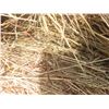 Image 8 : 123 Bales of Hay 2024 Crop, Tame Grasses Timothy. **Neighbor Will Load for $2 a Bale , Must Be 