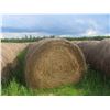 Image 2 : 230 Bales of Hay 2024 Crop, Tame Grass Timothy Made from JD568. **Neighbor Will Load for $2 per Bale