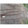 Image 2 : 6 Chains and Hooks 8ft-18ft Long. 