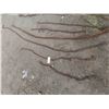 Image 2 : 10 Chains and Hooks 5ft-24ft Long