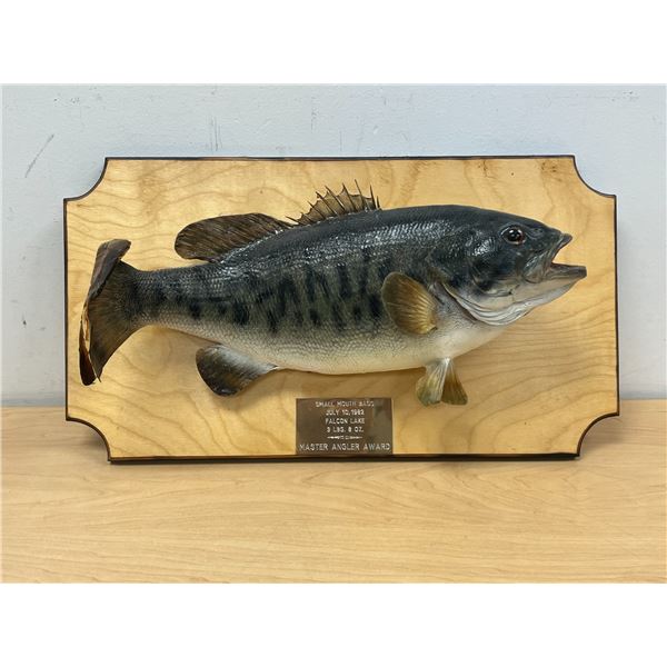 1982 Taxidermy Small Mouth Bass Falcon Lake Master Angler Award - Board approx 20"W see photos