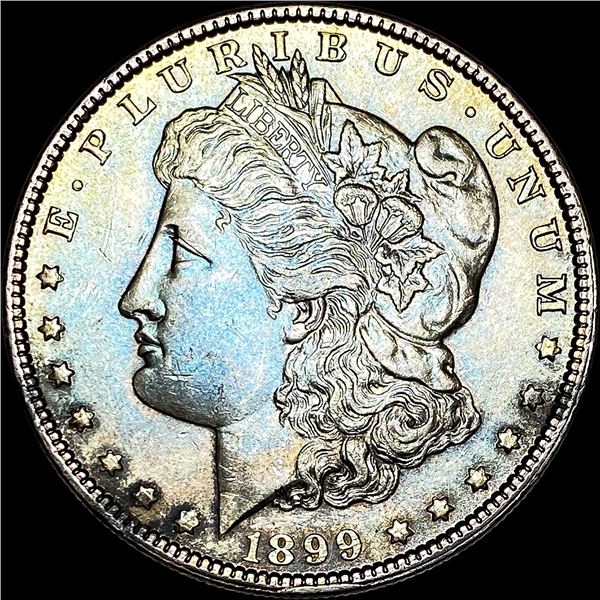 1899 Morgan Silver Dollar UNCIRCULATED