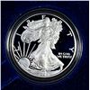 Image 1 : 2005 Silver Eagle Proof