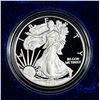 Image 1 : 2013 Silver Eagle Proof