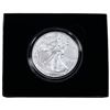 Image 2 : 2021 Silver Eagle