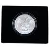 Image 3 : 2021 Silver Eagle