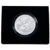 Image 2 : 2021 Silver Eagle