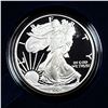 Image 2 : 2006 Silver Eagle Proof