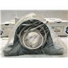 Image 2 : (3) Ami #UCP210-31 Bearings