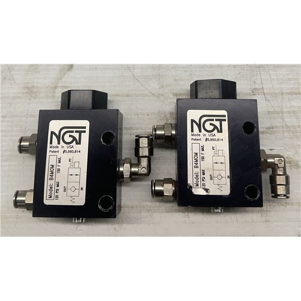 (2) NGT #B4M0M Check Valves