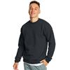 Image 1 : NEW HANES MENS ECOSMART SWEATSHIRT BLACK LARGE