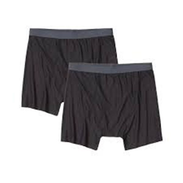 NEW 2 PACK EXOFFICIO MENS GIVE N GO BOXERS LARGE