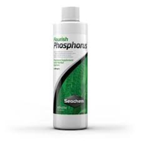 NEW 500ML FLOURISH PHOSPHORUS SEACHEM