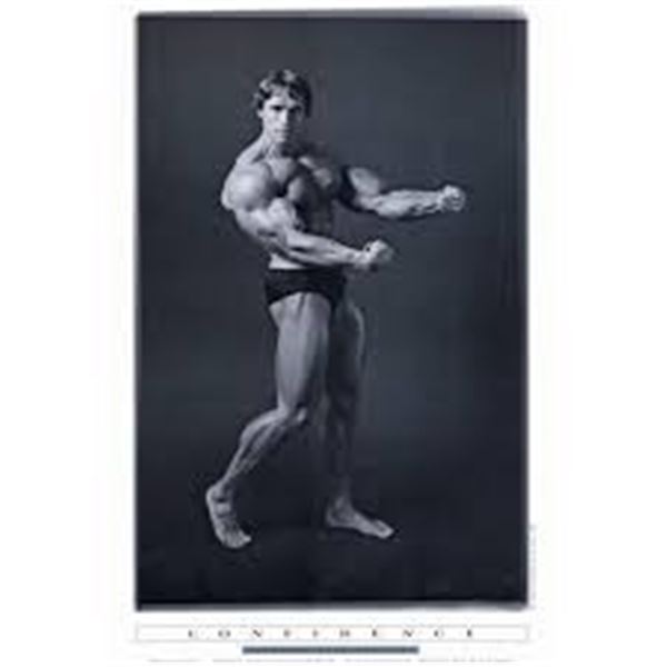 NEW ARNOLD SCHWARZENEGGER MOVIE POSTER 27 X 40"