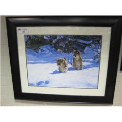 Framed Print, Cougars