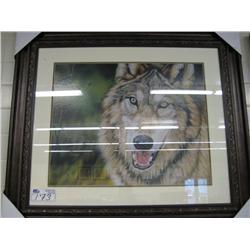 Framed Print, Wolf