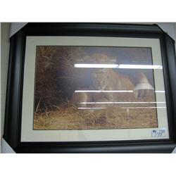 Framed Print, Mother's Pride
